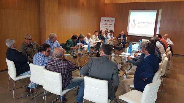 Asamblea general de Cereales Sevilla en la que se aprobó el cambio de nombre