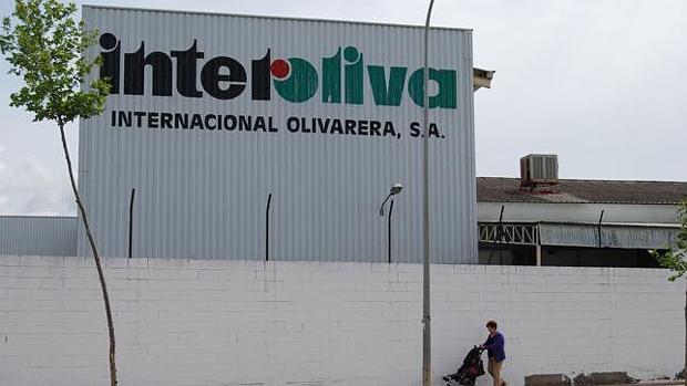 Interoliva impulsa un plan para facturar 40 millones en cinco años