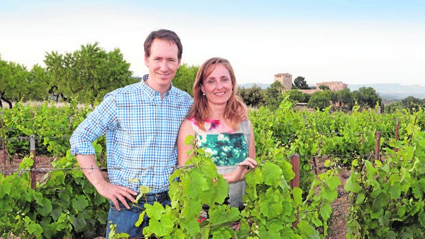 Arqueología de nuevos vinos ancestrales