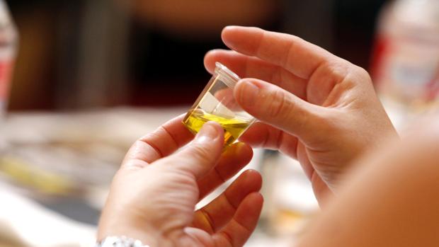 Test más exigentes para blindar la calidad de los aceites de oliva virgen