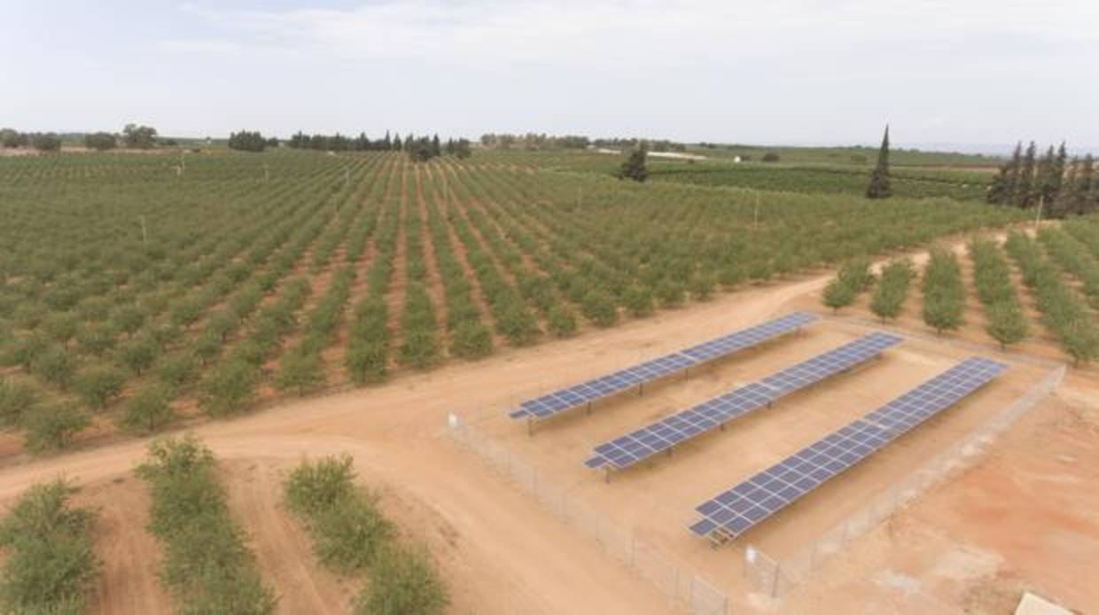 Instalación en la finca de Mairena del Alcor