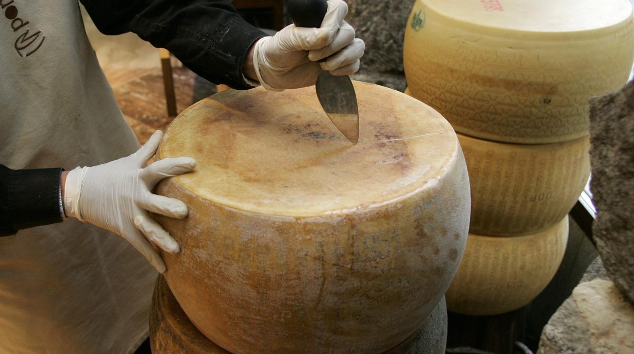 El queso parmesano, un aval bancario en Italia que la ONU quiere quitar de en medio