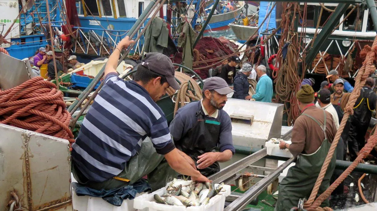Pescadores en el puerto de Dajla (Sáhara Occidental)