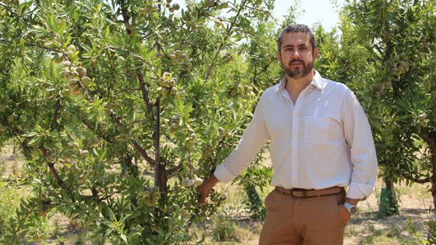 «Cualquier cultivo arbóreo se puede formar en seto, pero no recolectar con máquinas»