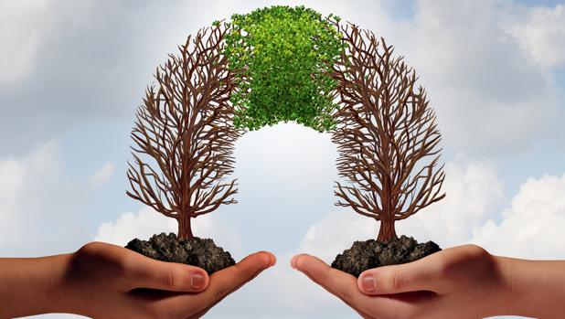 CAF presenta un plan para adaptar las carreteras al clima