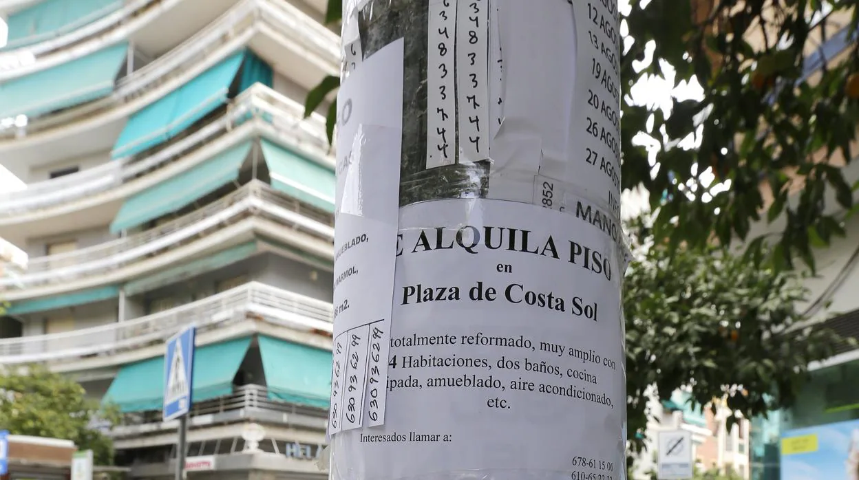 Anuncios de pisos de alquiler en Córdoba