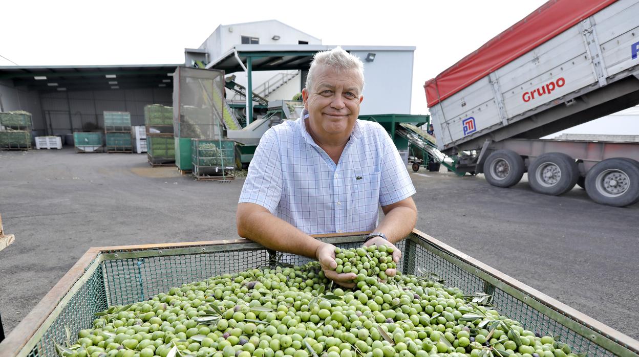 JavierRodríguez, director gerente y propietario de Olivaida