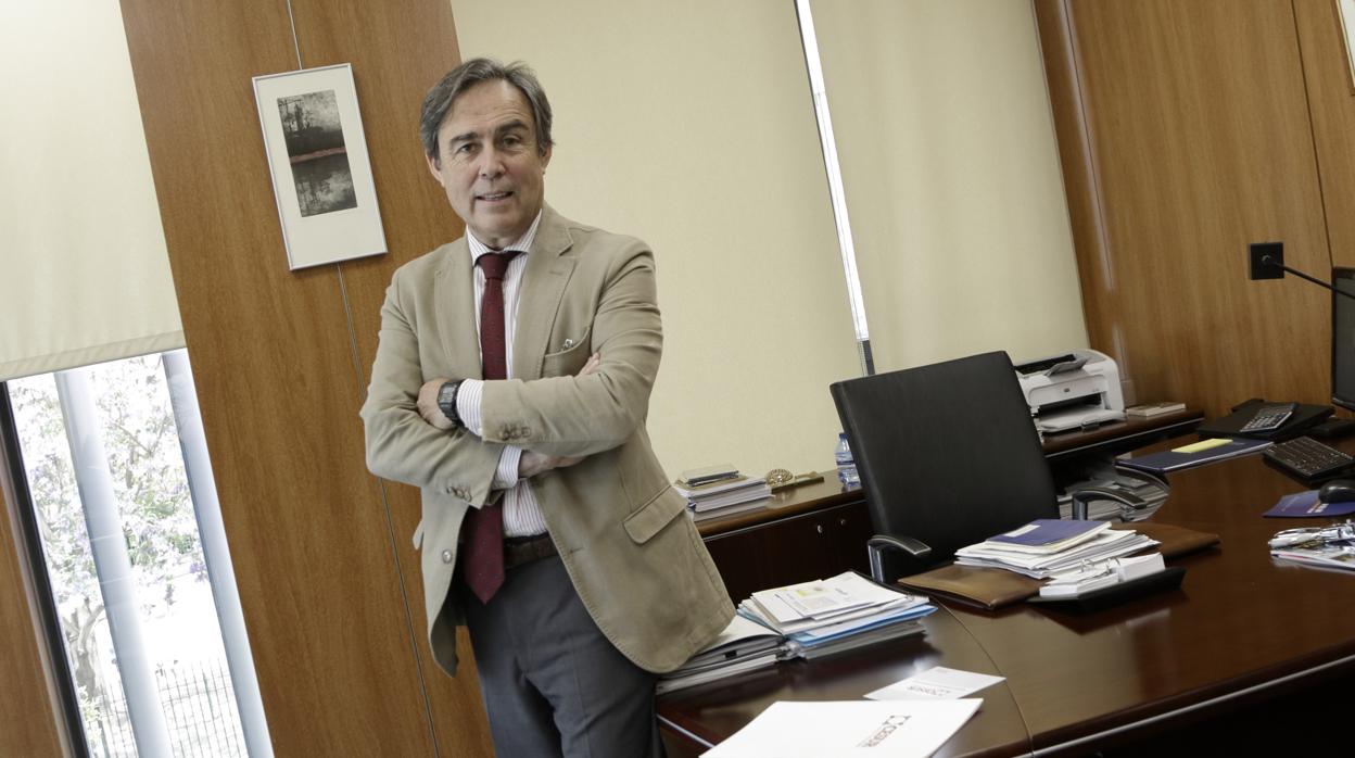 Ricardo Pumar, presidente de Insur