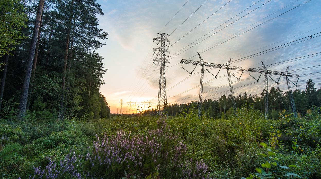 Varios postes eléctricos de la empresa Vantaa Energy