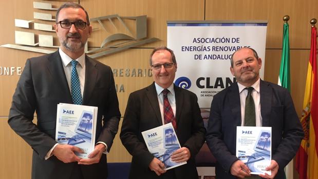 Andalucía solo generará el 4% de la energía eólica adjudicada en las últimas subastas