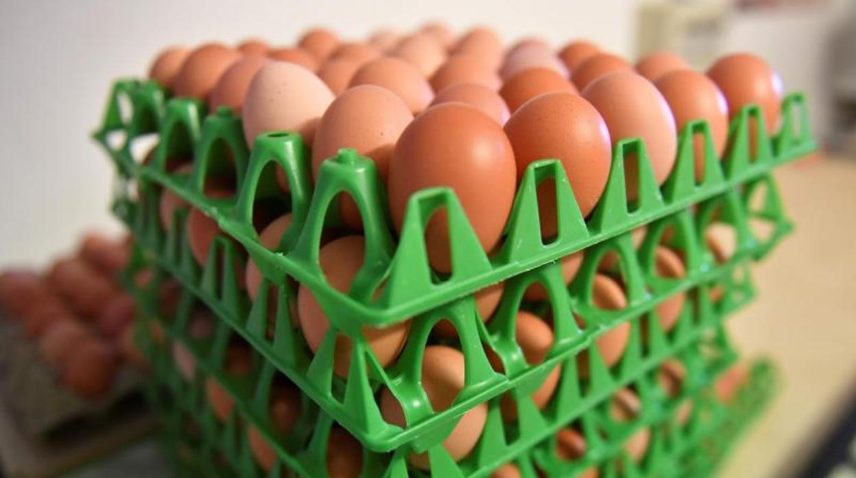 Huevos adulterados con fipronil y retirados del mercado en Rumanía en 2017