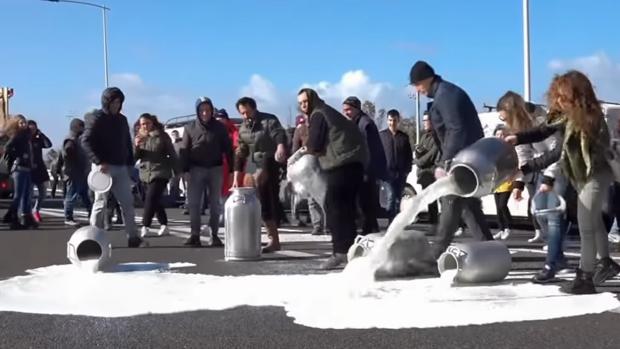 Pastores de Cerdeña derraman litros de leche como protesta por la caída de precios