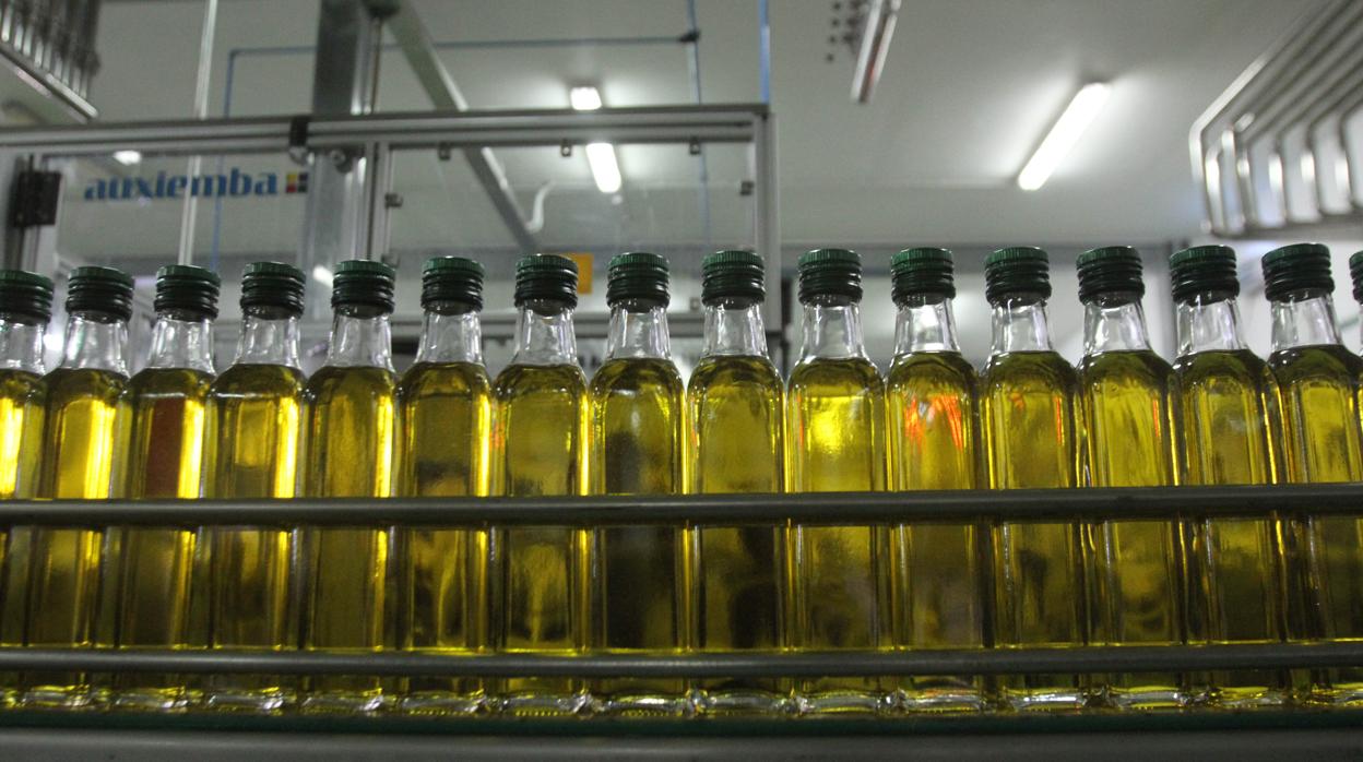 Las importaciones de aceite de oliva de Siria y Turquía se han multiplicado