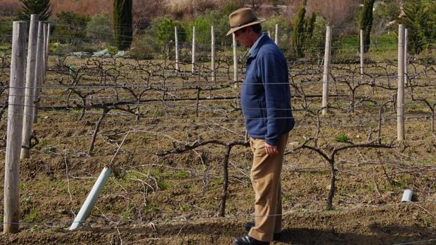 El ingeniero que desafió a las marismas para hacer vino