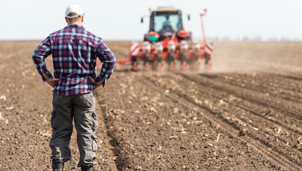 La triste cosecha laboral del campo: 700.000 empleos menos en 30 años