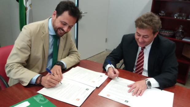 El centro comercial Lagoh de Sevilla ofertará 1.500 puestos de trabajo