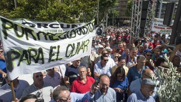 Los agricultores prevén que la producción de aceite de oliva caerá un 40% la próxima campaña