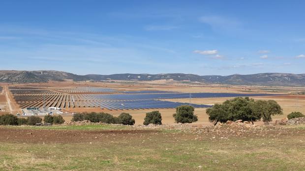 Naturgy pone en marcha la mayor planta fotovoltaica de Castilla-La Mancha