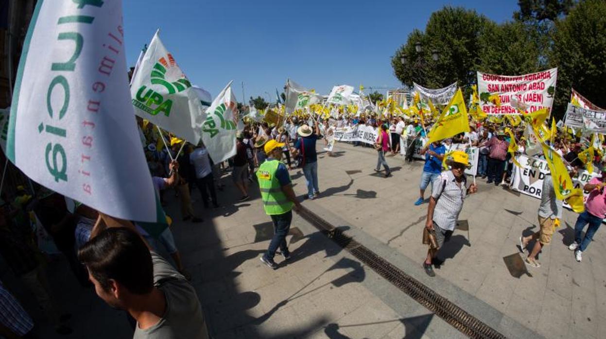 Manifestación de los olivareros el pasado julio en Sevilla