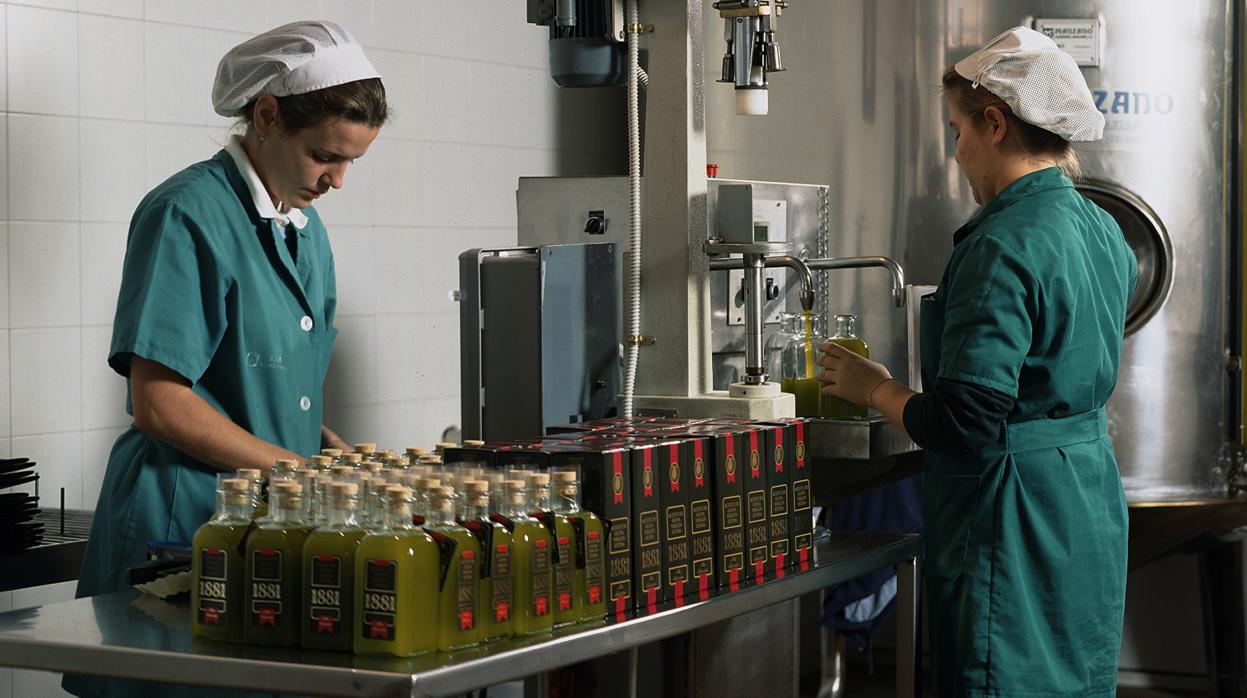 Bruselas aprueba el almacenamiento privado de aceite de oliva desde 21 noviembre
