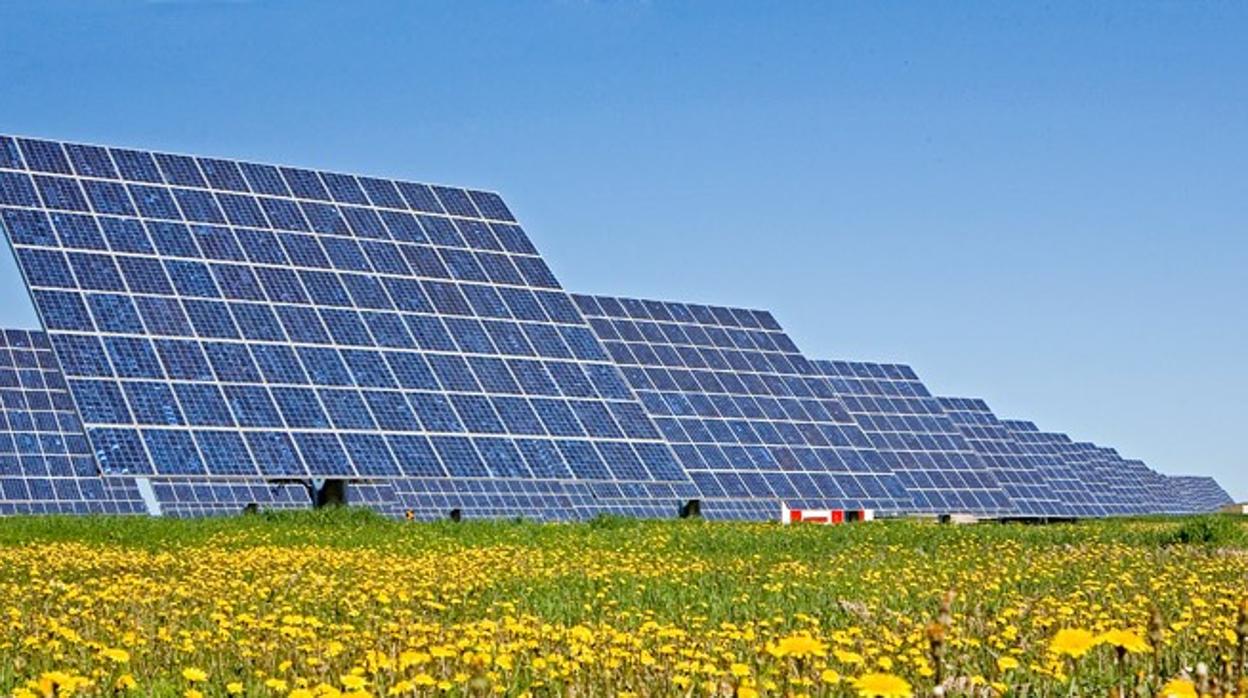 Planta fotovoltaica de Acciona