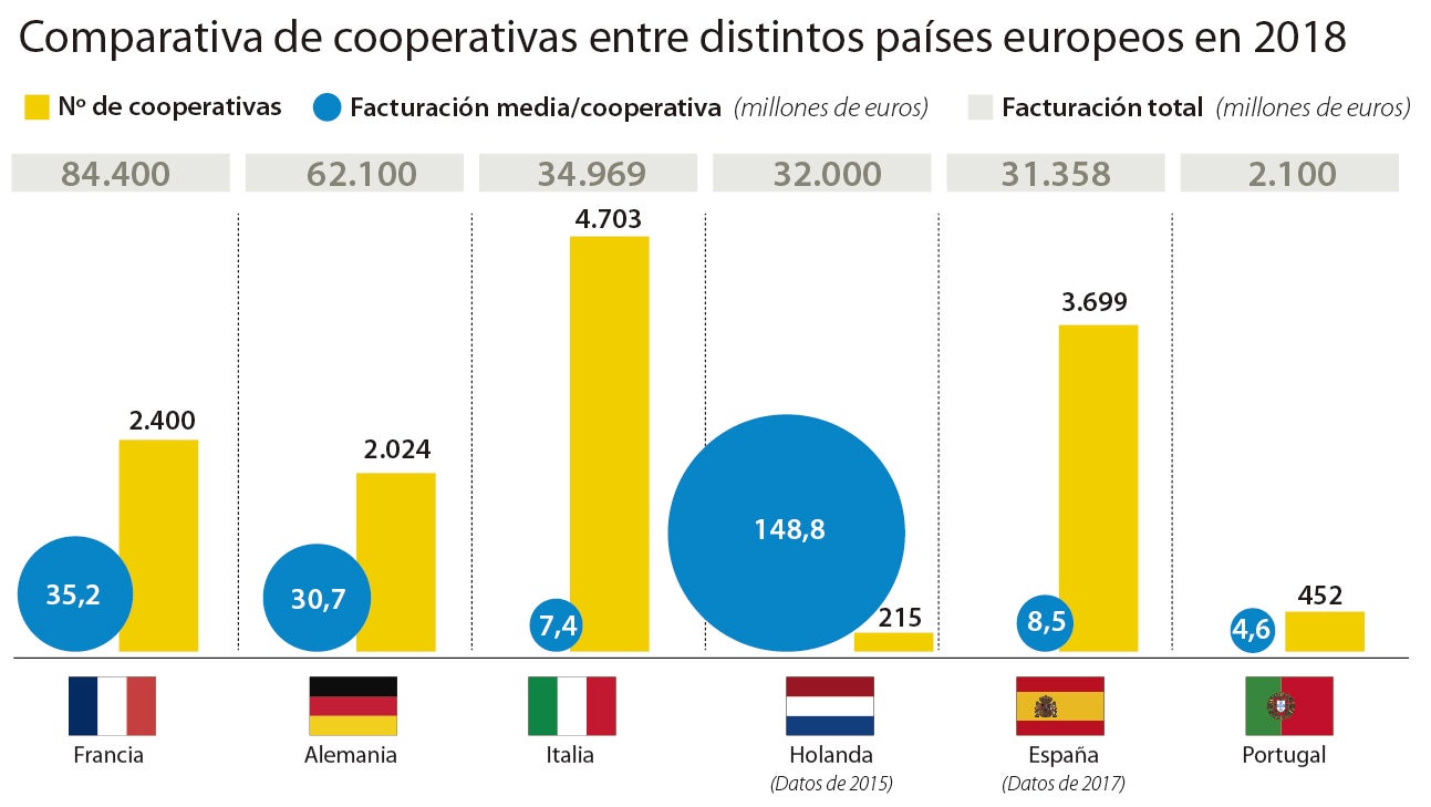 La integración de las cooperativas abona la competitividad del campo español