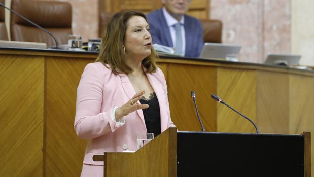 La consejería de Agricultura recibe peticiones de ayudas forestales por 116 millones