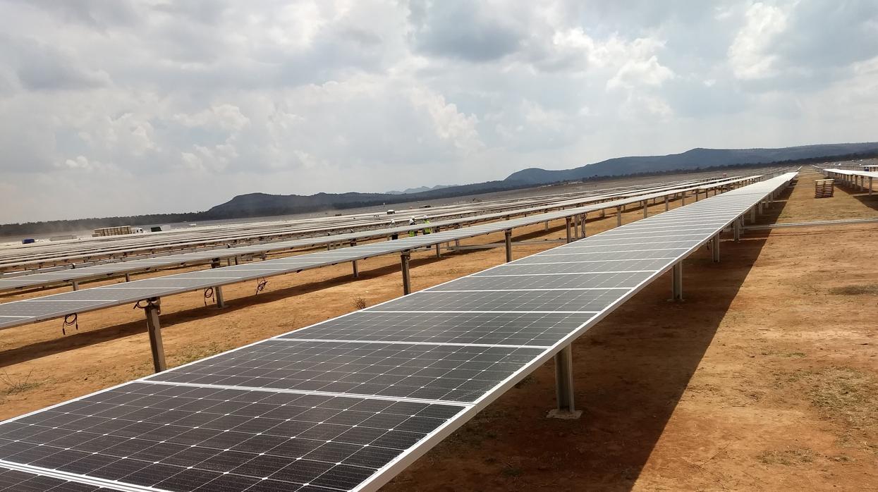 Paneles fotovoltaico en un parque solar