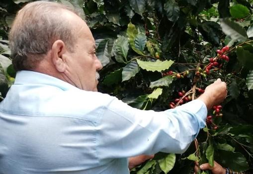 Diego Panal, fundador de Mocaibo, con fábrica en Utrera, en una plantación de Honduras