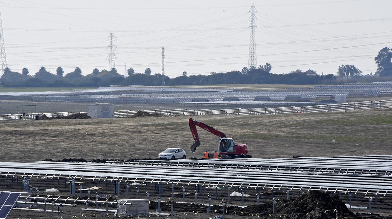 Planta fotovoltaica Don Rodrigo 2, en construcción en Alcalá de Guadaíra