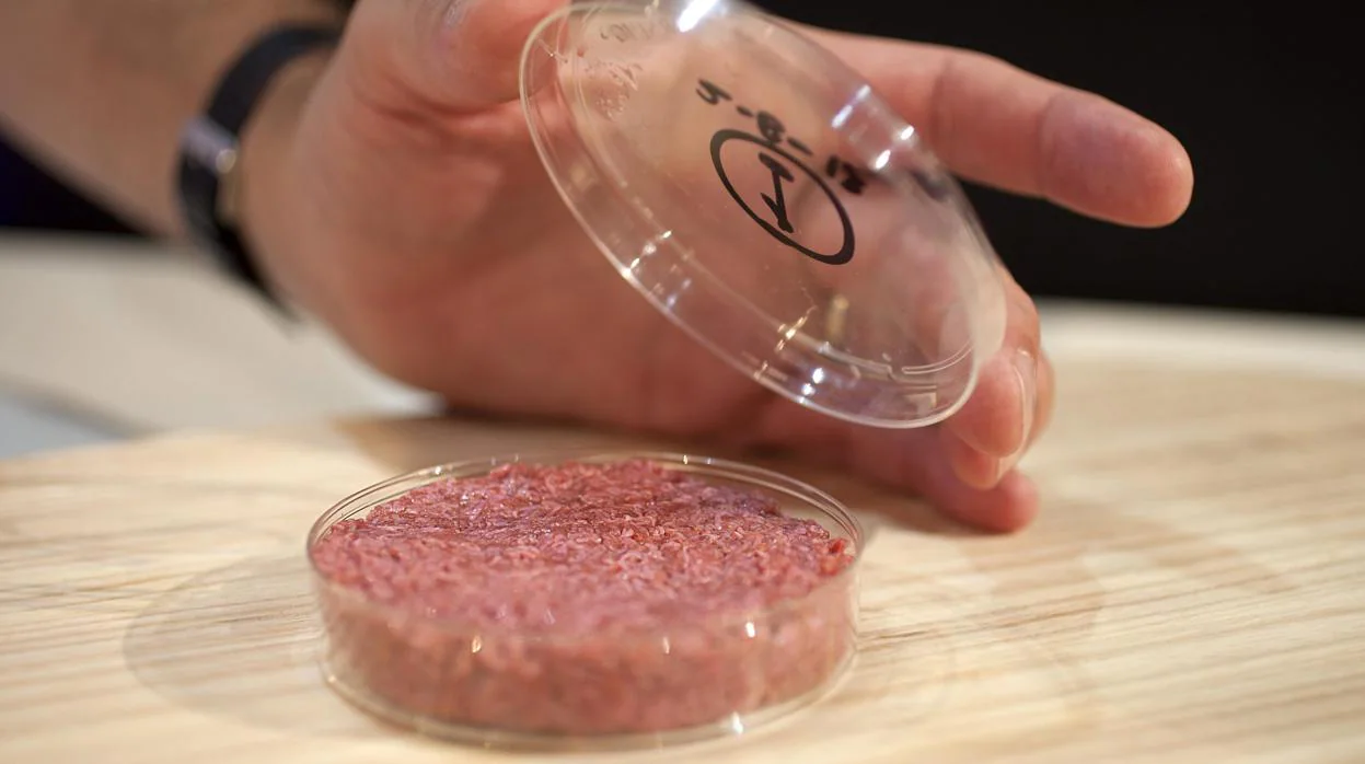 Esta es la primera hamburguesa generada en un laboratorio por un equipo de científicos de la Universidad de Maastricht en 2013