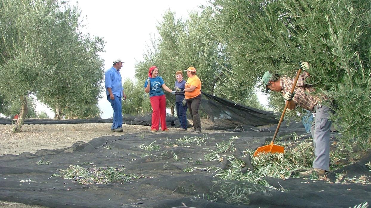 Trabajadores del campo