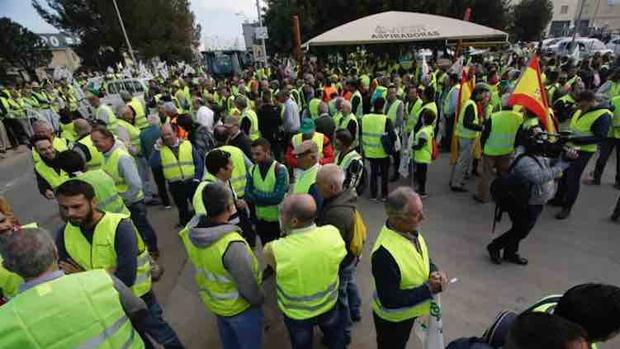 Precios justos y protección frente a terceros países, las reivindicaciones de la tractorada de Sevilla