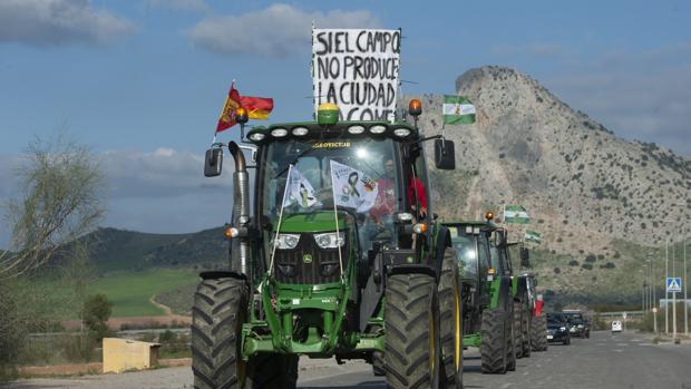 El campo es escéptico sobre la aplicación de la prohibición de la venta a pérdidas