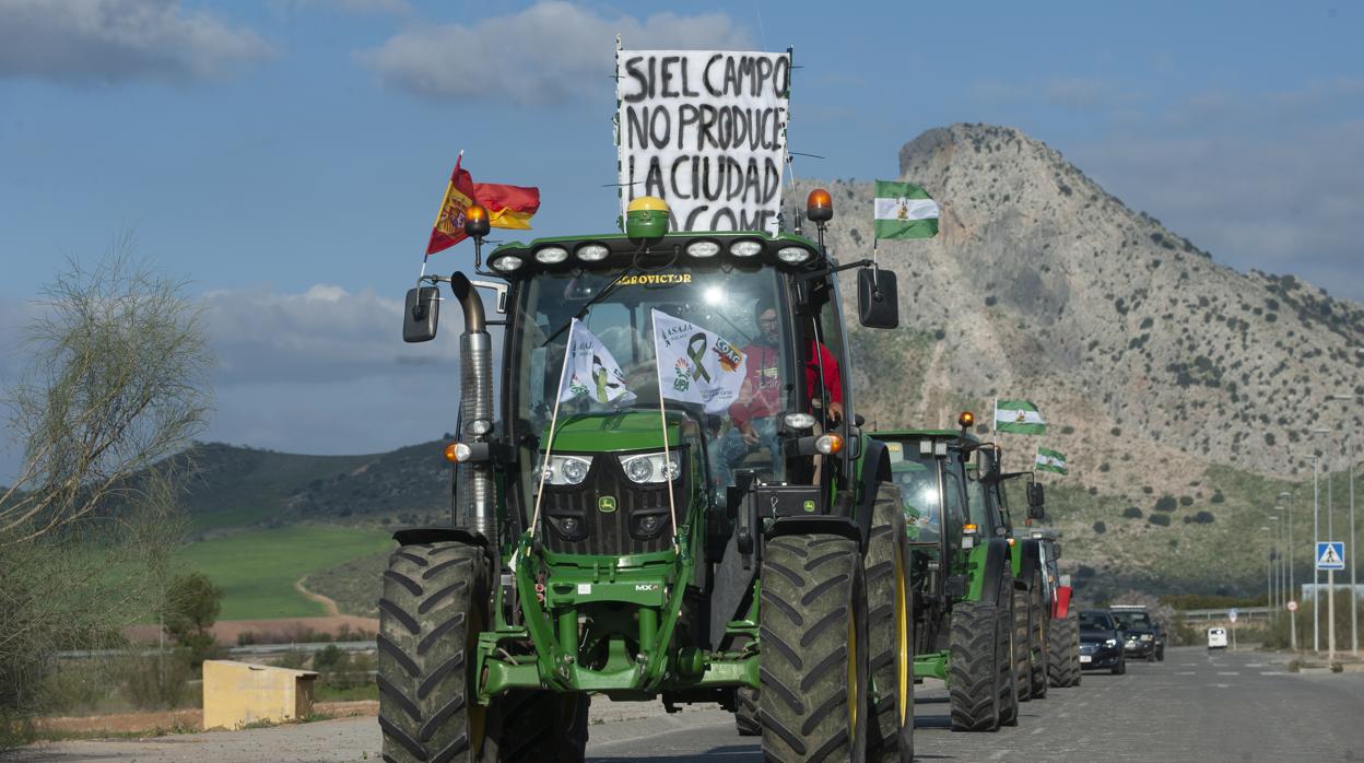 El campo es escéptico sobre la aplicación de la prohibición de la venta a pérdidas