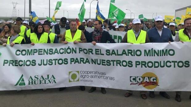 El sector agrario aplaza la protesta en el Puerto de Algeciras por el coronavirus