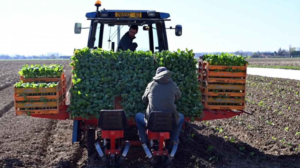 Agricultores en Francia