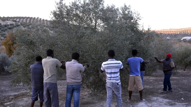 Los temporeros agrícolas de terceros países excluidos de las restricciones en las fronteras europeas