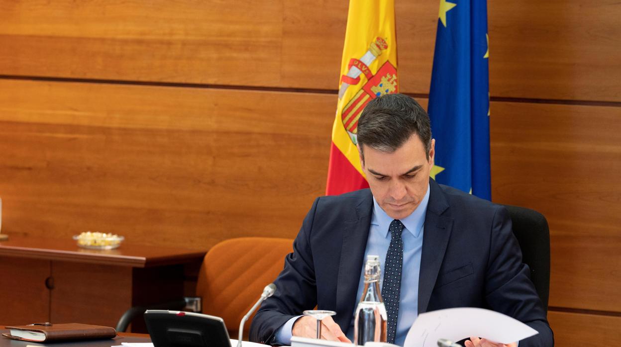 Pedro Sánchez, presidente del Gobierno