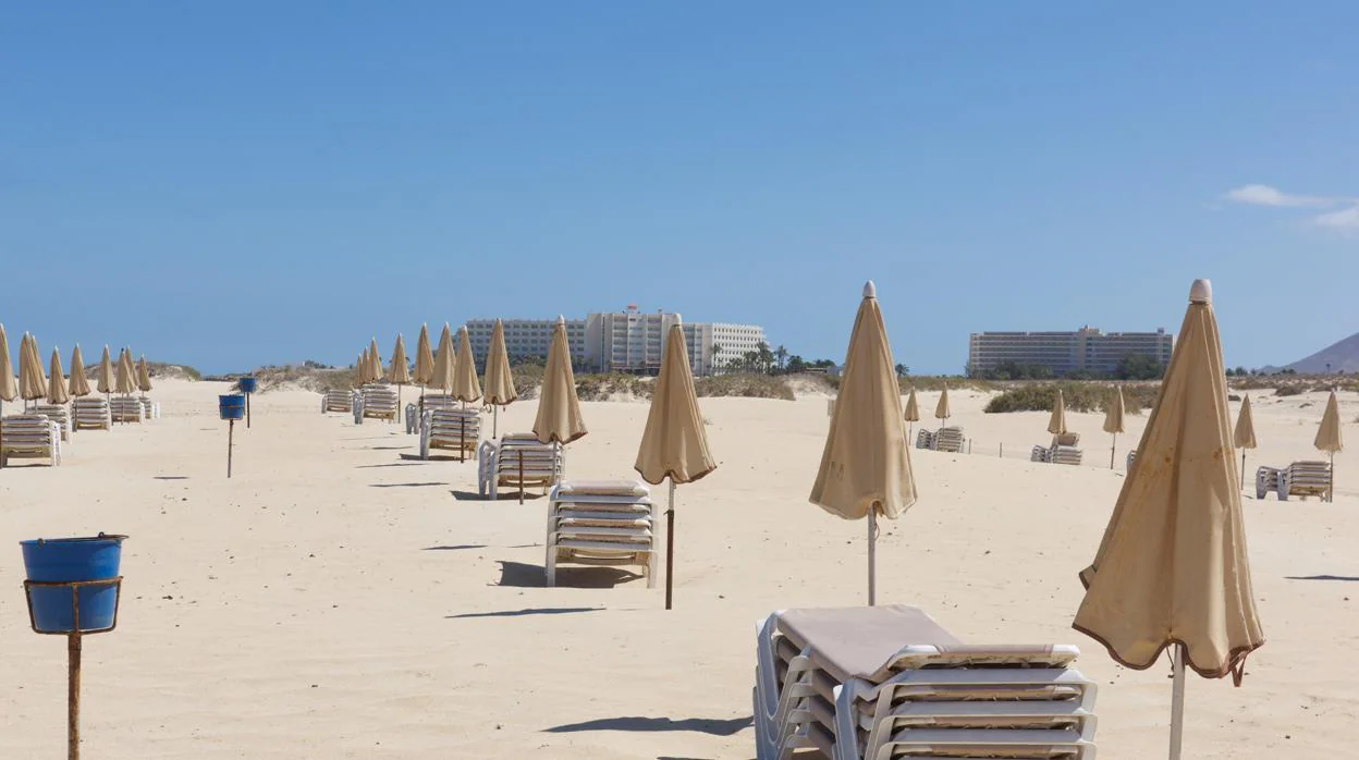 Hamacas vacías en las playas de Fuerteventura en una insólita imagen