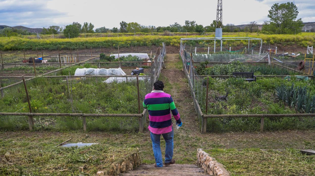 UPA y Fademur pide al Gobierno que también deje trabajar los pequeños huertos y las parcelas familiares