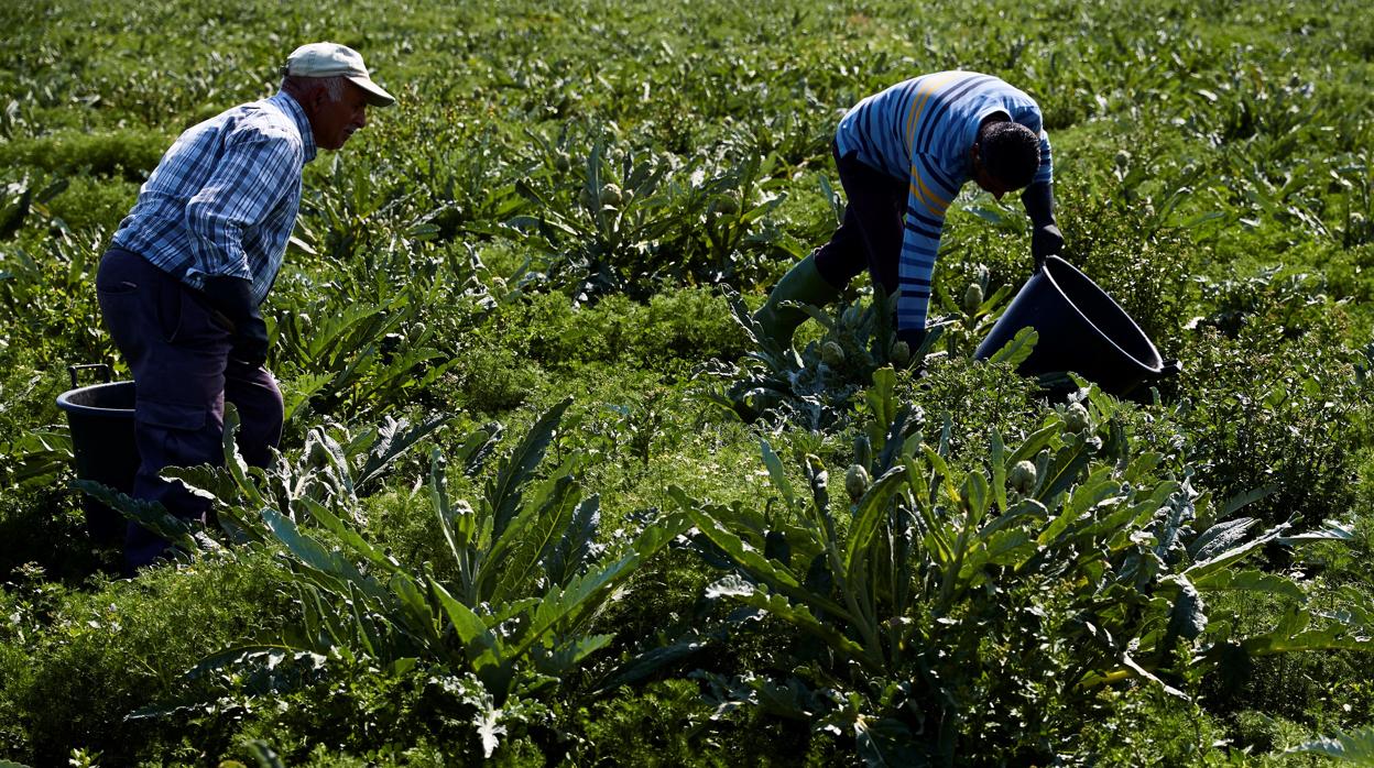 Solo en el Valle del Ebro, al menos un 30% de los puestos demandados pueden quedarse sin cubrir