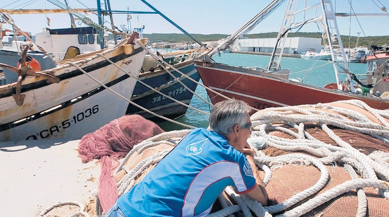 En la imagen, pesqueros de arrastre amarrados por la veda en la costa andaluza