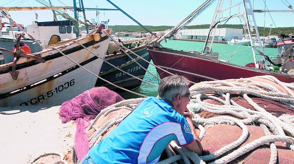 En la imagen, pesqueros de arrastre amarrados por la veda en la costa andaluza