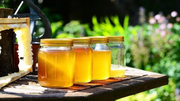 El nuevo etiquetado de la miel especificará si la procedencia es «cien por cien española»