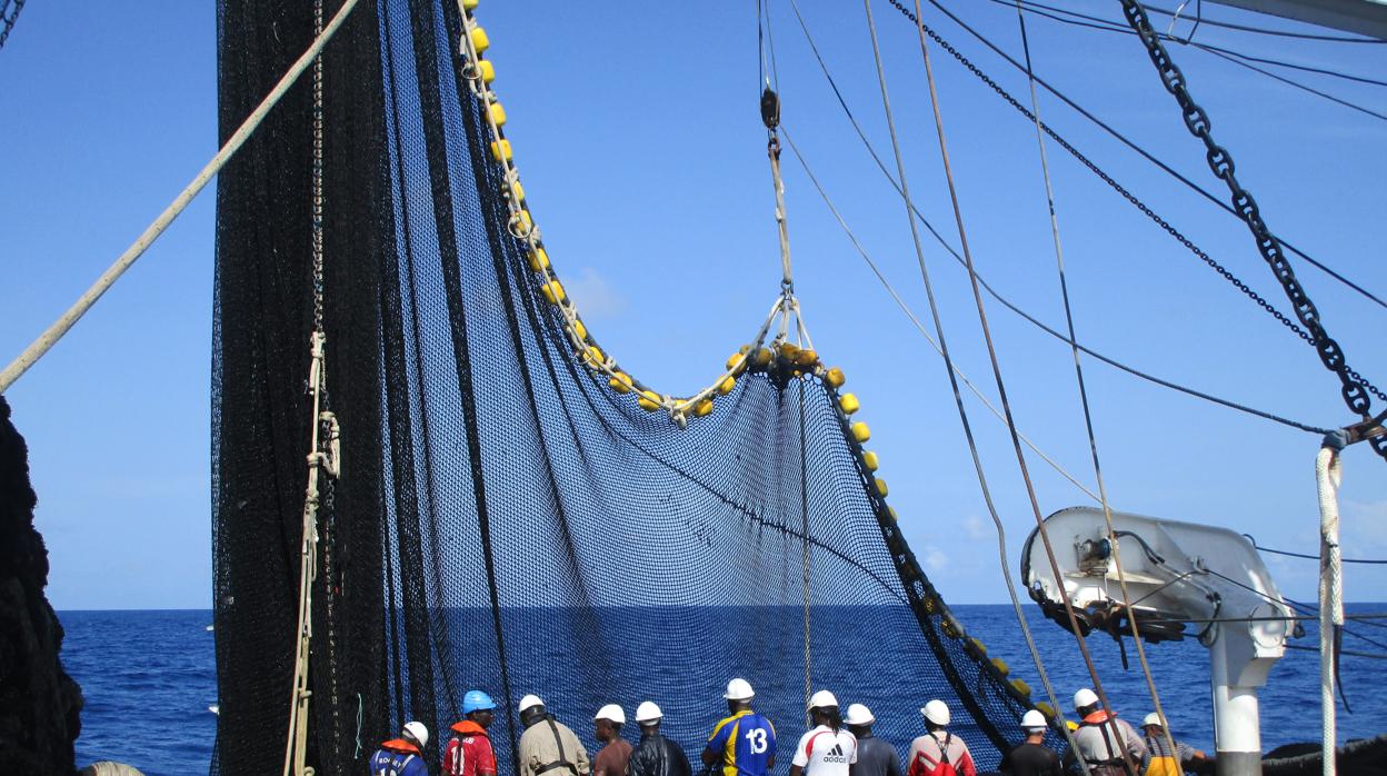 Cepesca denuncia en una carta al ministro Duque la «lamentable» situación del Instituto Español de  Oceanografía