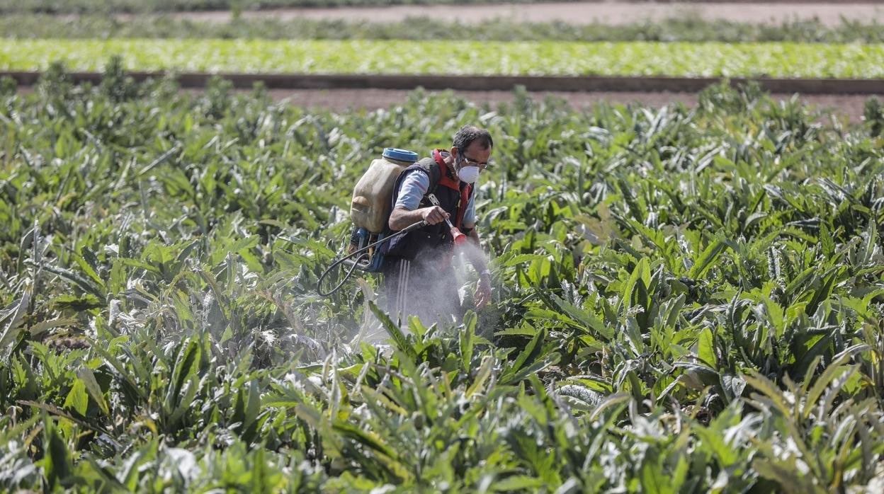 La agricultura es una de los sectores que más lastra los datos del paro en Andalucía