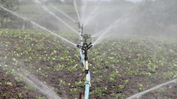 Huelva: la planta fotovoltáica de Andévalo Fronterizo permitirá el riego de 6.400 hectáreas