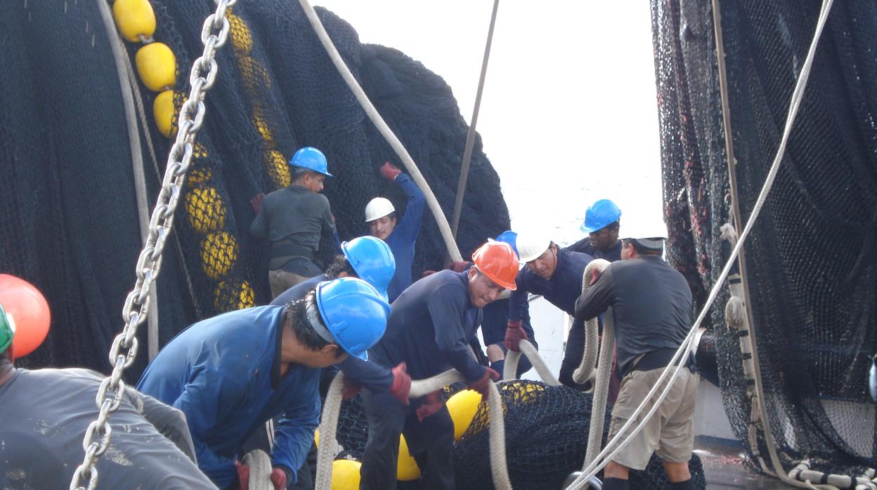 Actividad dentro de un barco atunero