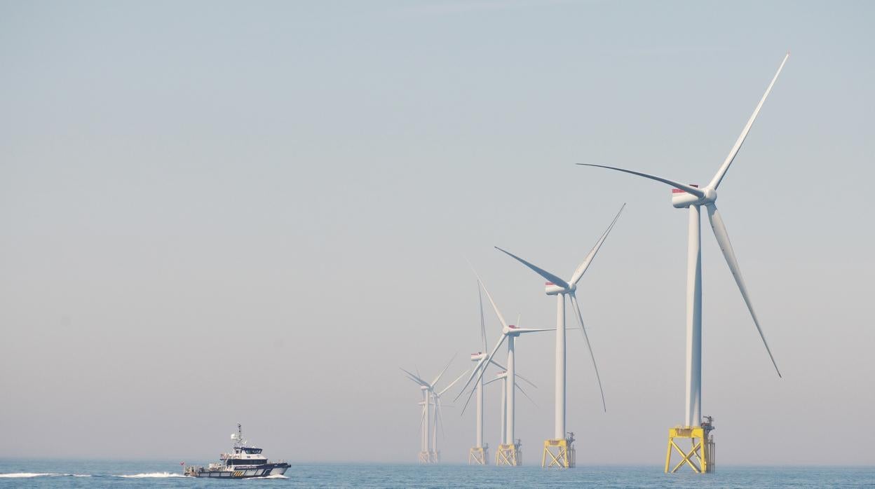 Parque eólico marino East Anglia ONE, de Iberdrola